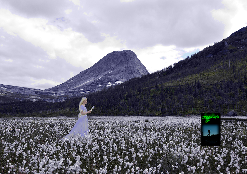 Huldra i Gjerdalen